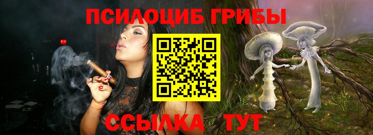 Псилоцибиновые грибы мицелий  Галлюциногенные грибы Psilocybe  Вход с VPN  купить наркотик  Саров 